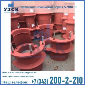 Сальники нажимные серия 5.900-3 в Кирове